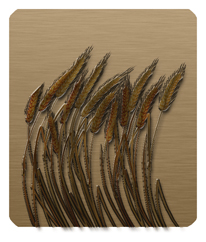 217 DF35 910 BZ Blowing Wheat Bronze